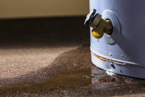 Best Water damage restoration mold remediation  in Monaca, PA