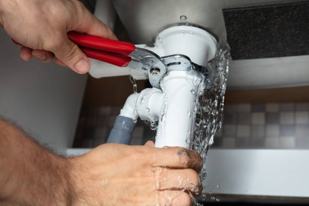 Best Water damage restoration specialists  in Monaca, PA