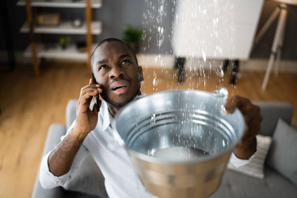Best Sewage cleanup and water damage restoration  in Monaca, PA