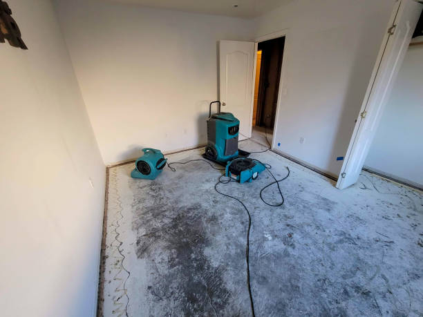 Reliable Monaca, PA Water damage restoration Solutions
