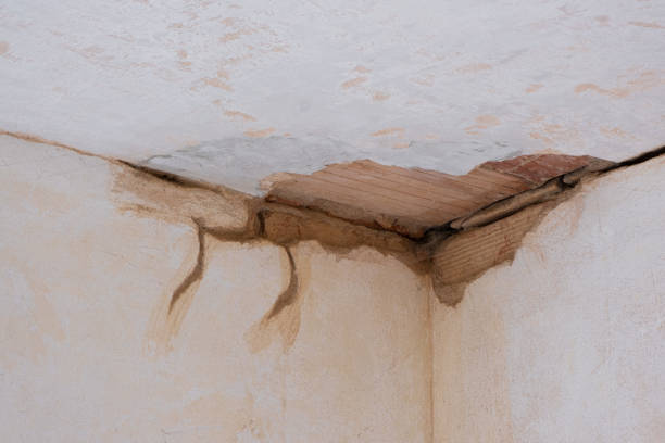 Best Basement water damage restoration  in Monaca, PA