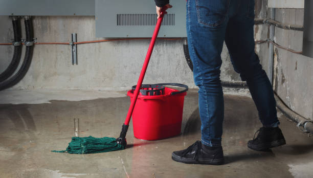 Carpet water damage restoration in Monaca, PA