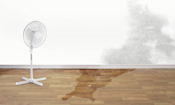 Best Water damage contractors near me  in Monaca, PA
