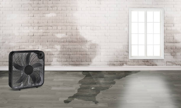 Best Ceiling water damage repair  in Monaca, PA