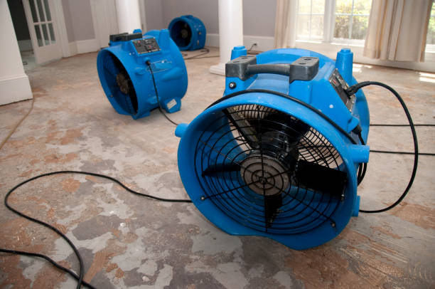 Best Water damage cleanup near me  in Monaca, PA