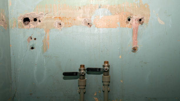 Best Flood restoration services  in Monaca, PA